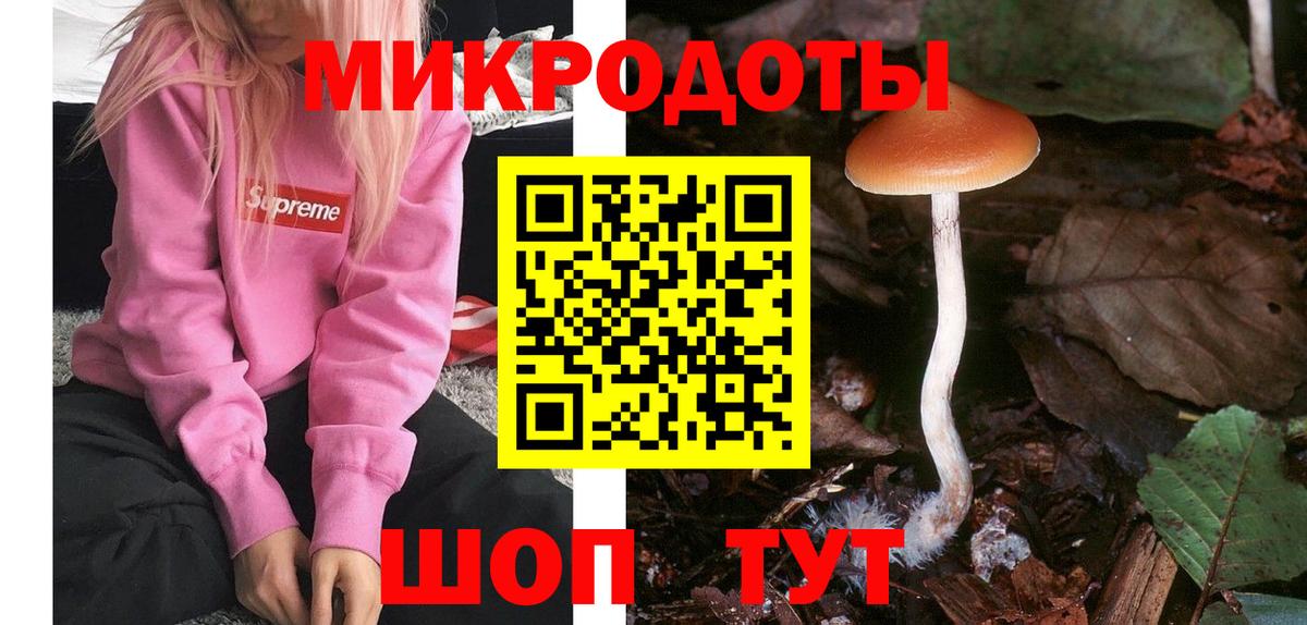 Галлюциногенные грибы Psilocybine cubensis Армавир